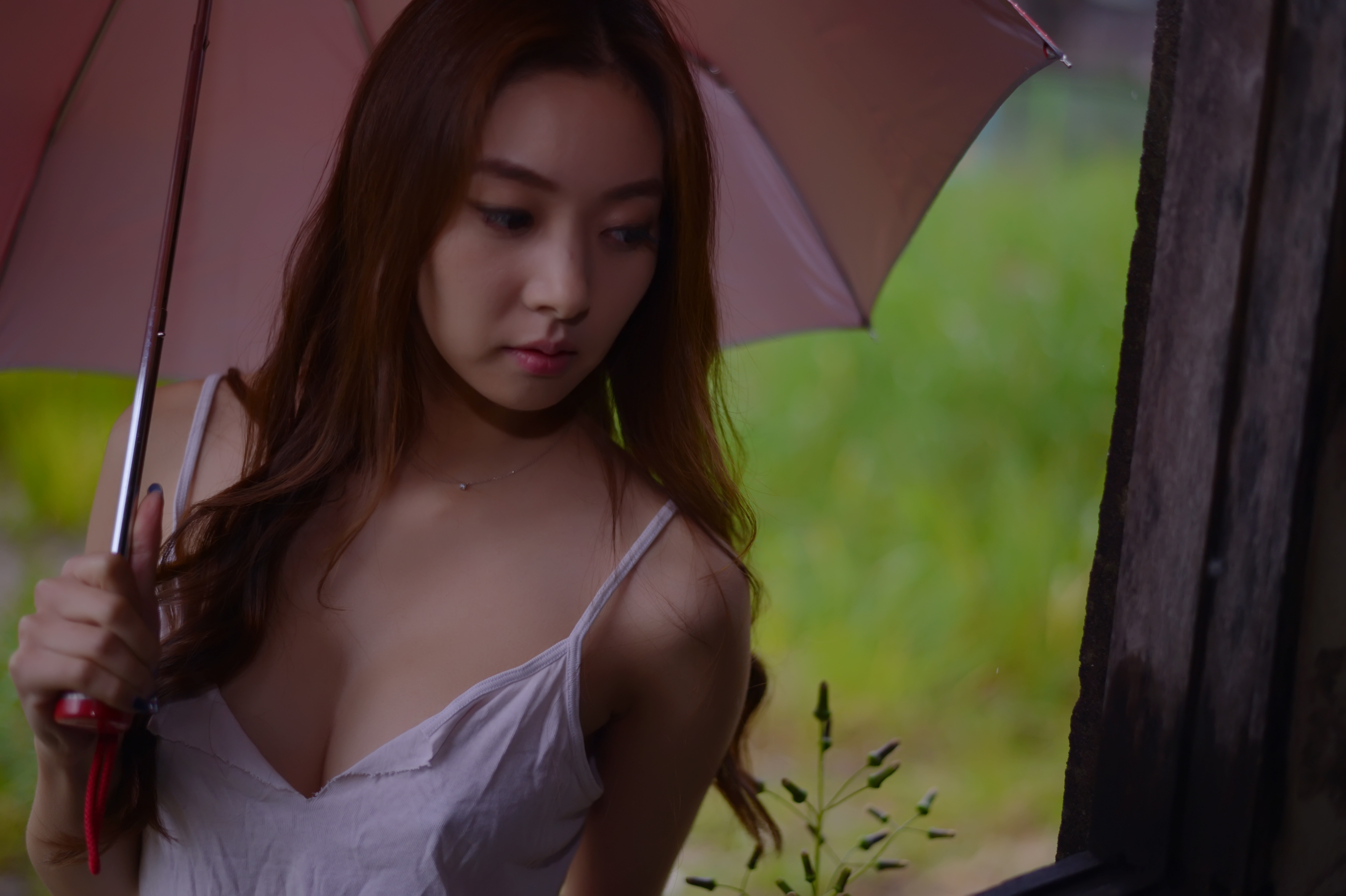 미분류 / 서연서 (레이싱걸 459장 2.60GB) 소프트